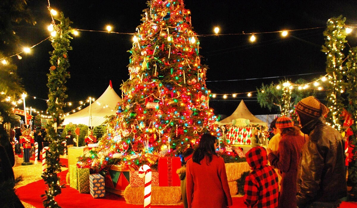 10 Best Christmas Celebration In Chandigarh