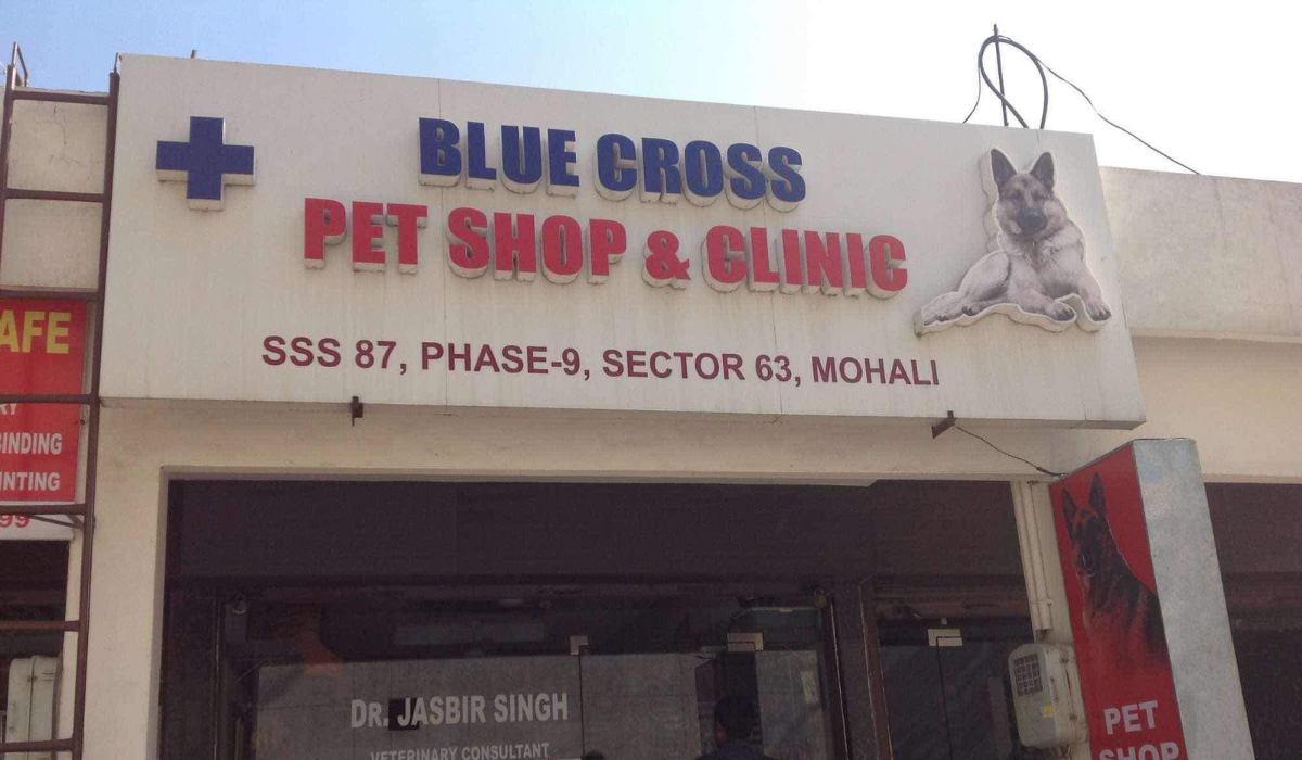 Blue Cross Pet Clinic