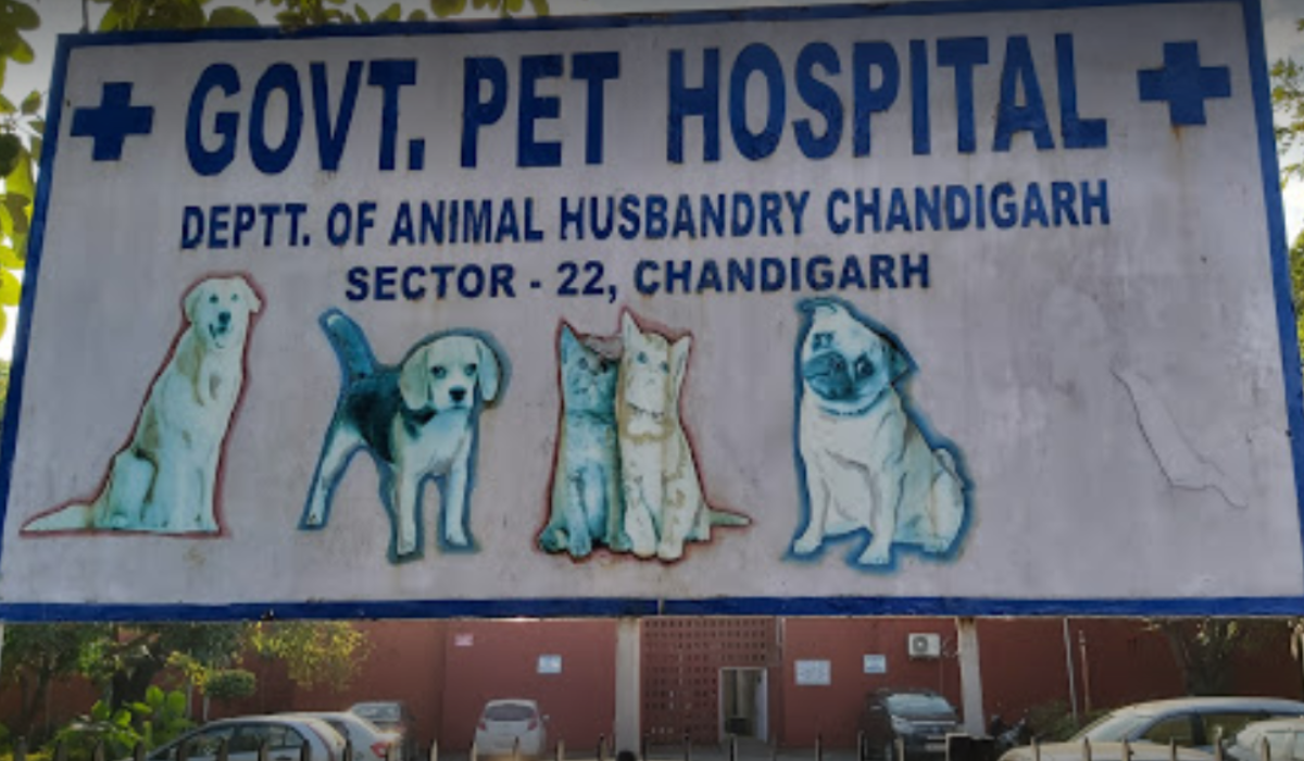 Govt. Pet Hospital