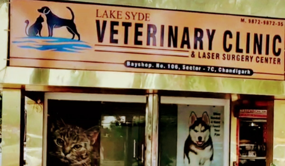 Lakesyde Veterinary Clinic & Laser Surgery Centre