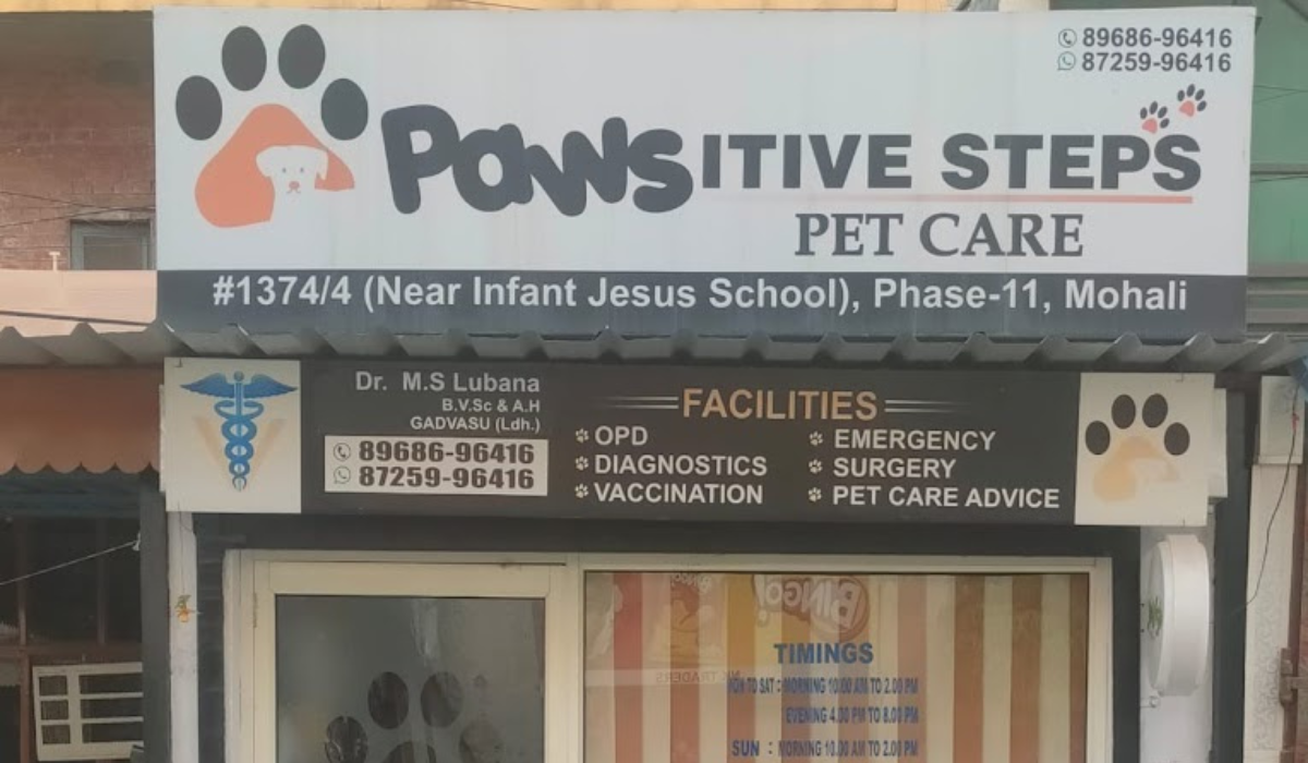 Pawsitive Steps Pet Care