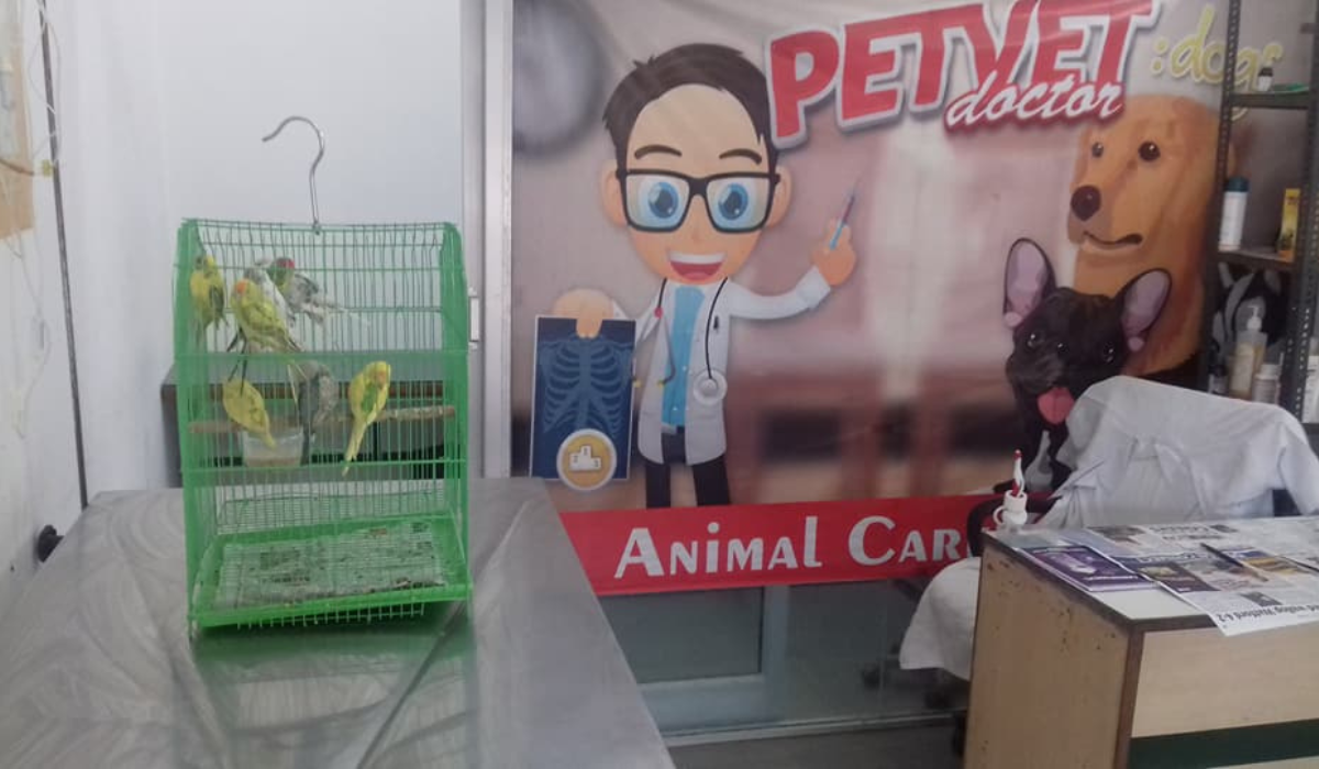 Petvet24 Veterinary Clinic
