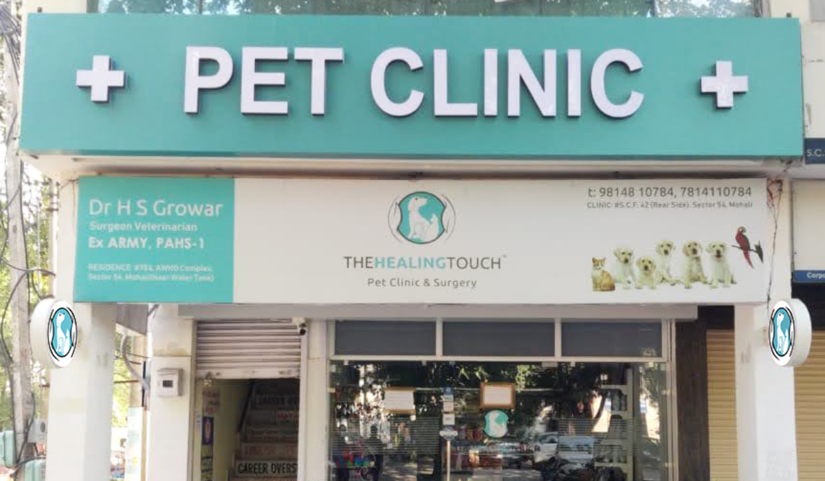 The Healing Touch Pet Clinic & Surgery