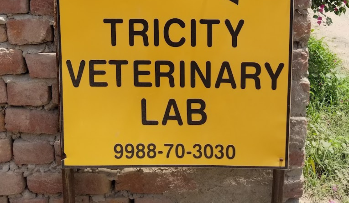 Tricity Veterinary Lab